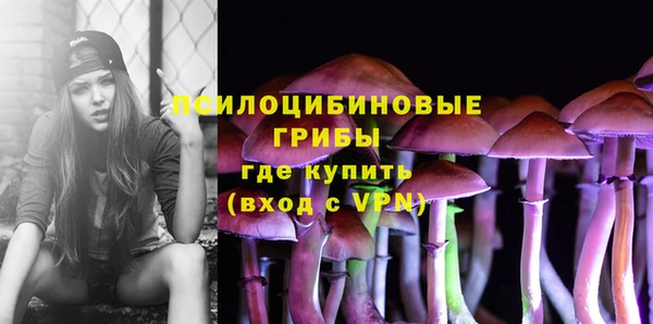 дмт Абинск