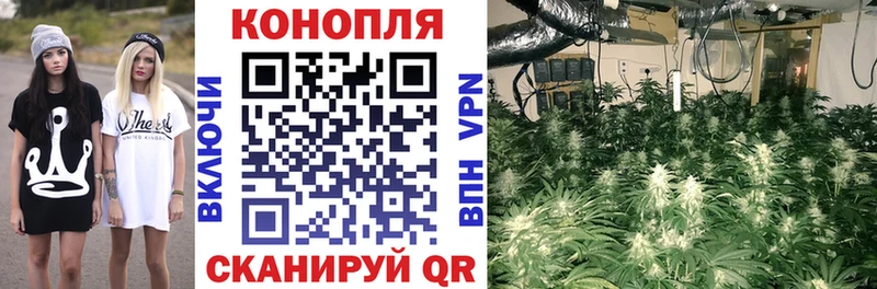 Канабис OG Kush сколько стоит Богородицк